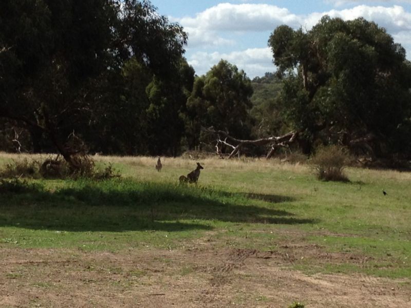 Bundoora VIC 3083