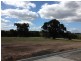 Bundoora VIC 3083
