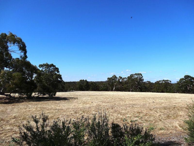 26 Fitzjohns Drive, Bundoora VIC 3083