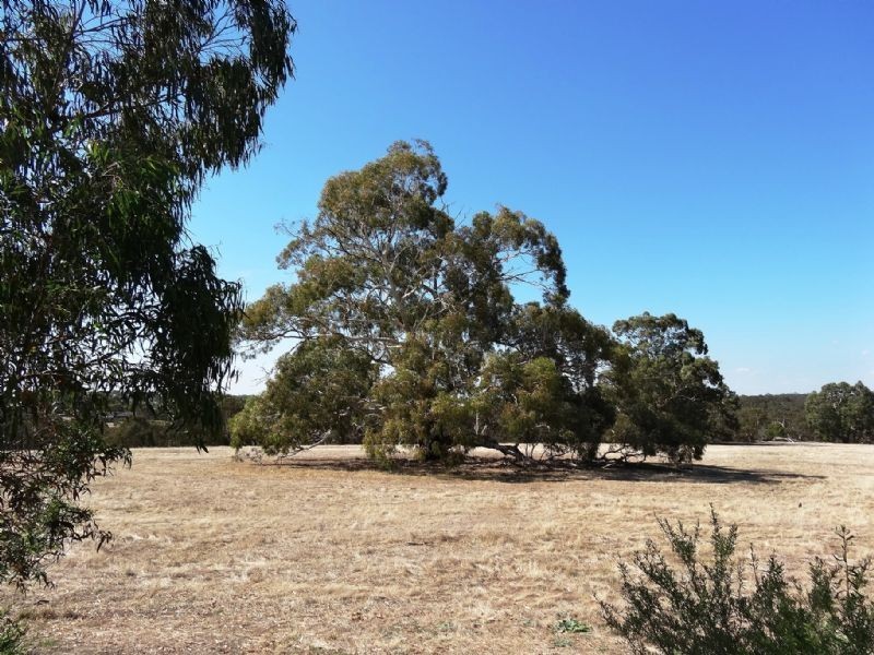 26 Fitzjohns Drive, Bundoora VIC 3083