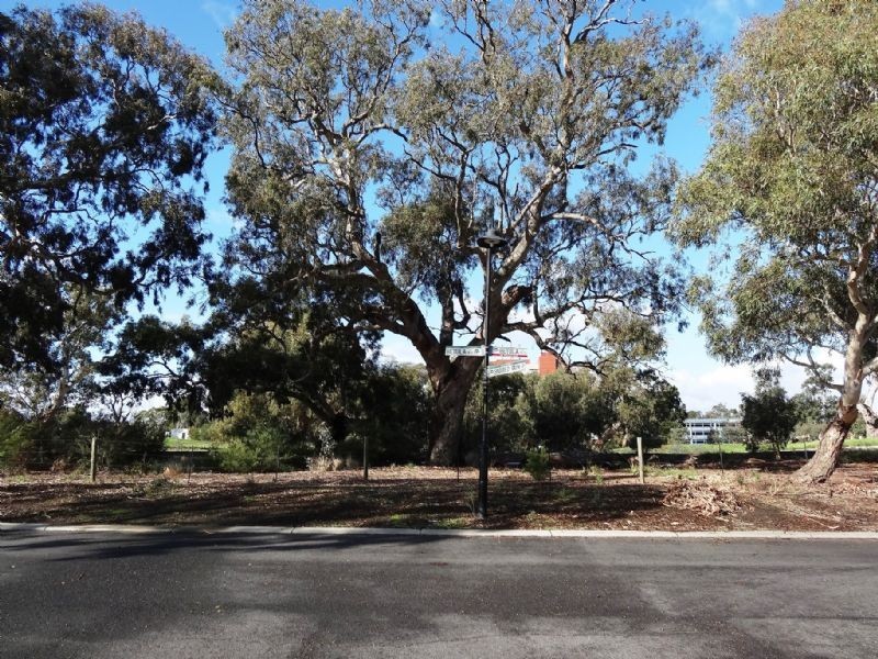 17 Spotted Gum Crescent, Bundoora VIC 3083