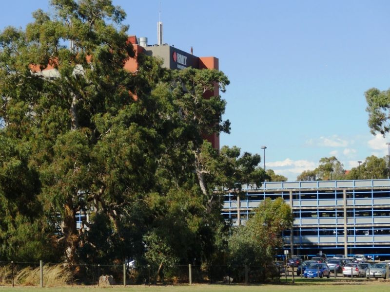 17 Spotted Gum Crescent, Bundoora VIC 3083