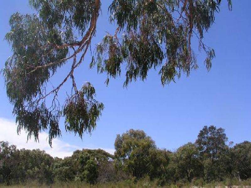 26 -32 Sweet Wattle Drive, Cranbourne South VIC 3977