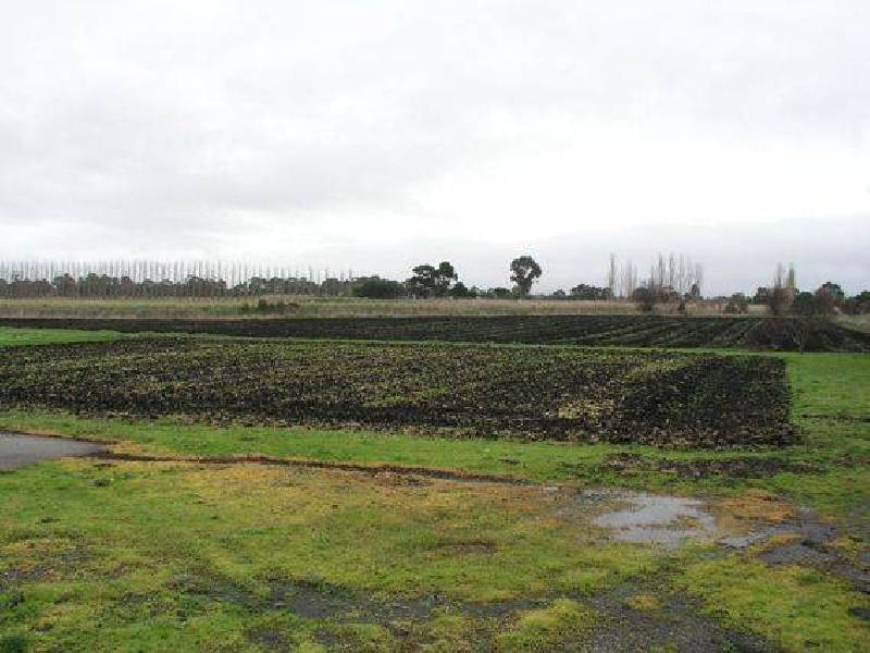 Tooradin VIC 3980