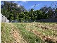 Langwarrin VIC 3910