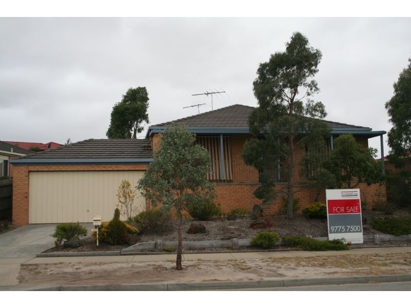 46 Lexton Drive, Langwarrin VIC 3910