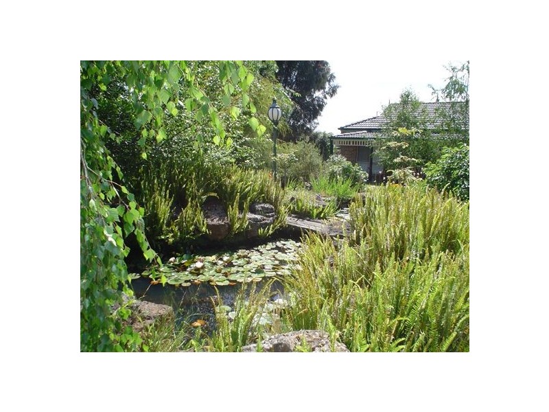 65 Donald Road, Langwarrin VIC 3910