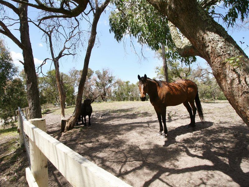 1705 Dandenong Hastings Road, Langwarrin VIC 3910