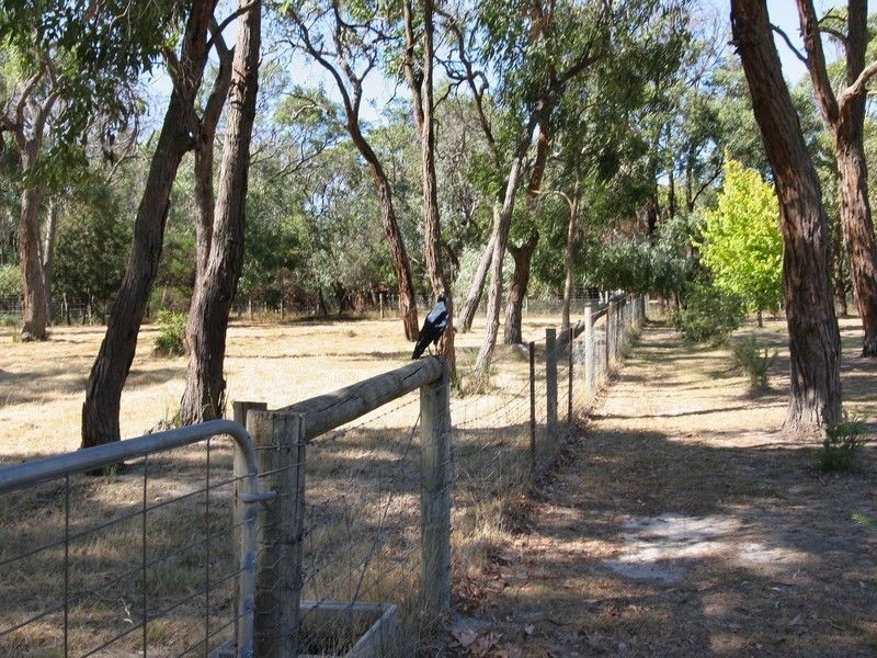 36 Kingston Road, Langwarrin VIC 3910