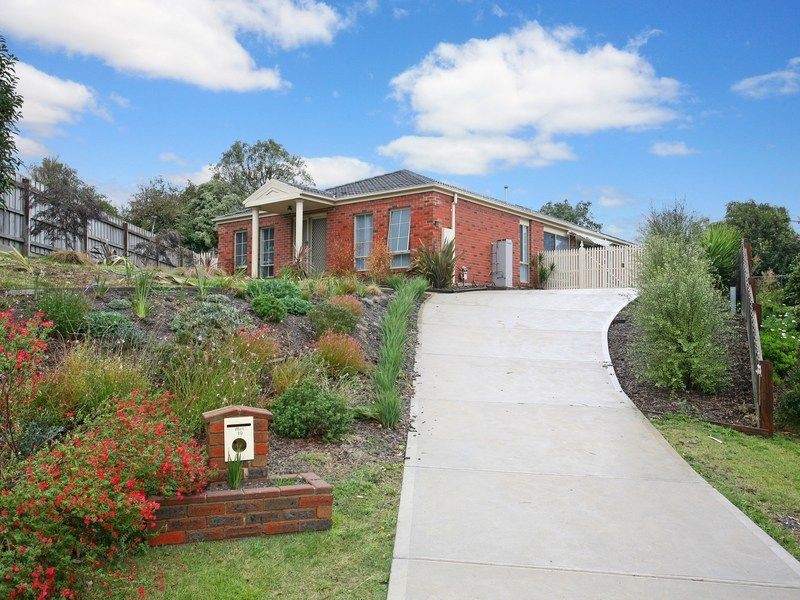 19 Bianco Court, Langwarrin VIC 3910