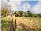 381 North Road, Langwarrin VIC 3910