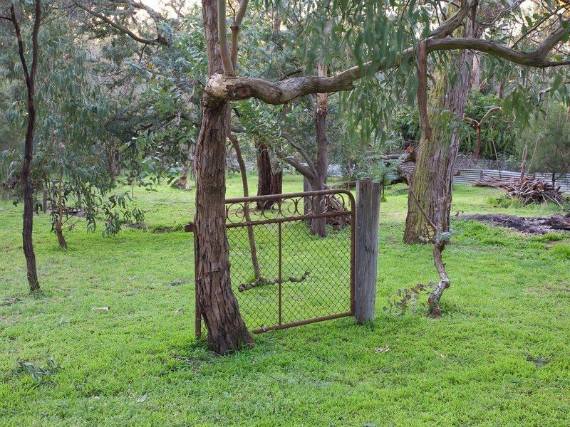 Langwarrin VIC 3910