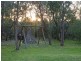 Langwarrin VIC 3910