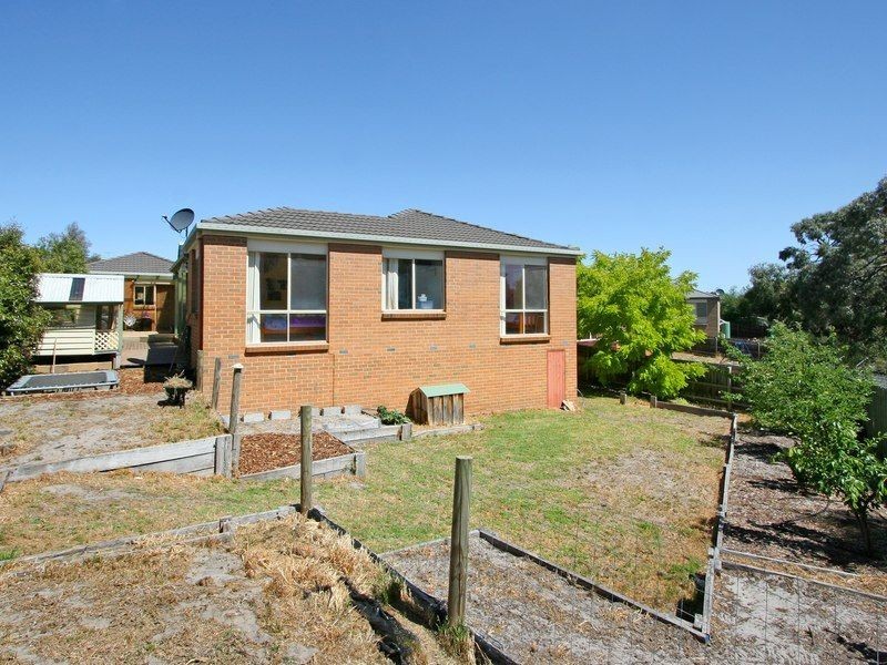61 Lexton Drive, Langwarrin VIC 3910