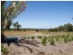 Langwarrin VIC 3910