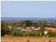 Langwarrin VIC 3910