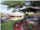19 Peter Court, Langwarrin VIC 3910
