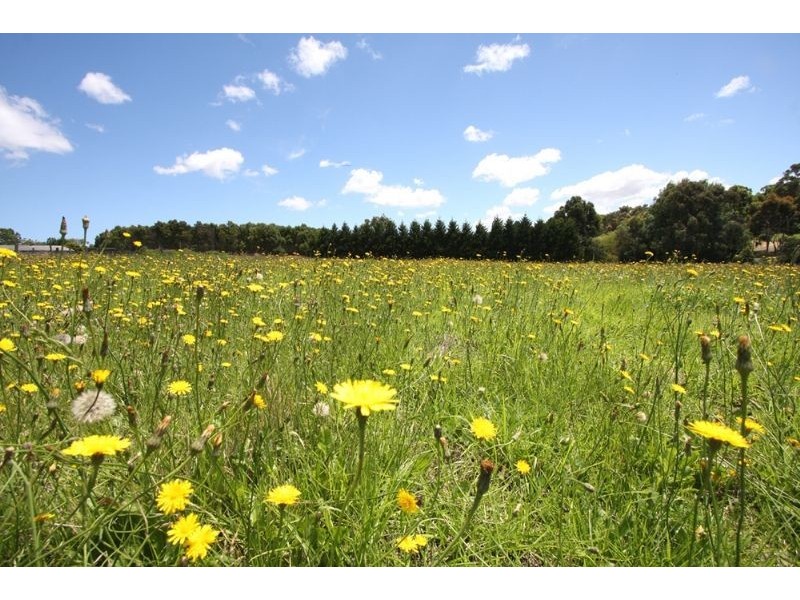 Lot 1/75 Weeroona Road, Langwarrin South VIC 3911