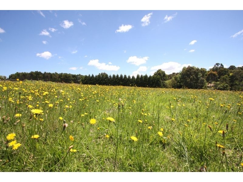 Lot 1/75 Weeroona Road, Langwarrin South VIC 3911