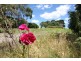 Lot 1/75 Weeroona Road, Langwarrin South VIC 3911