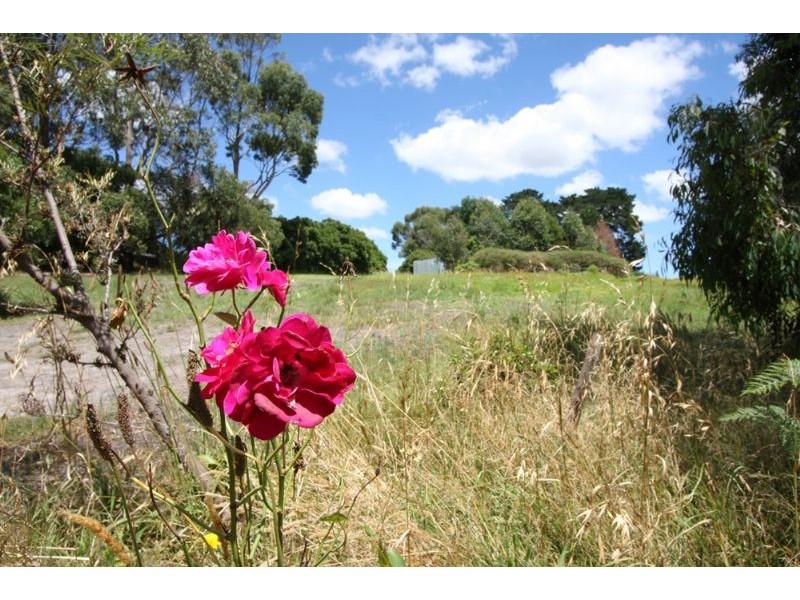 Lot 1/75 Weeroona Road, Langwarrin South VIC 3911