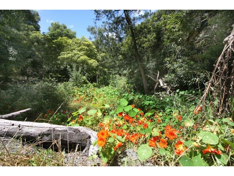 Lot 1/75 Weeroona Road, Langwarrin South VIC 3911