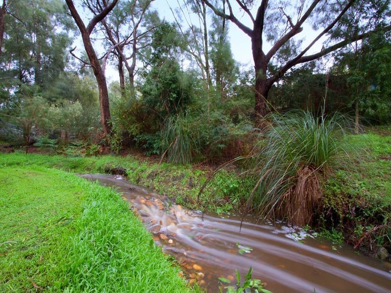 19 Bergman Road, Langwarrin VIC 3910