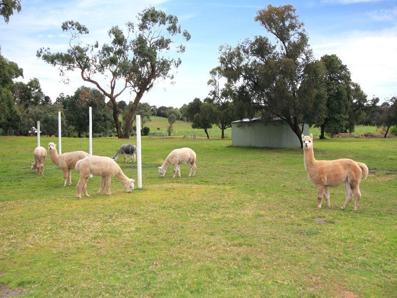 351 Baxter-Tooradin Road, Langwarrin South VIC 3911