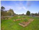 70 Newton Avenue, Langwarrin South VIC 3911