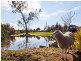 422 North Road, Langwarrin VIC 3910