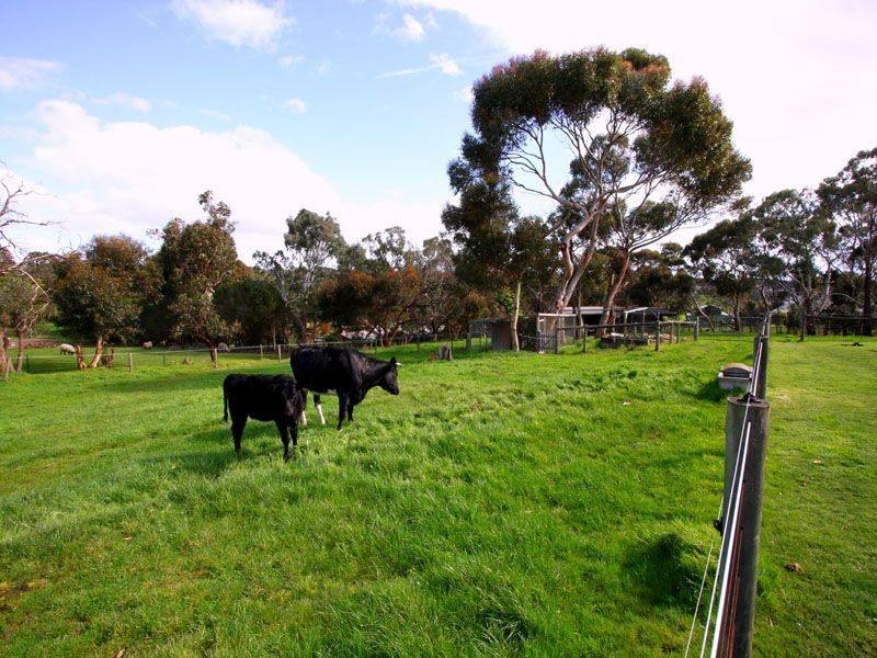 60 McKays Road, Langwarrin VIC 3910