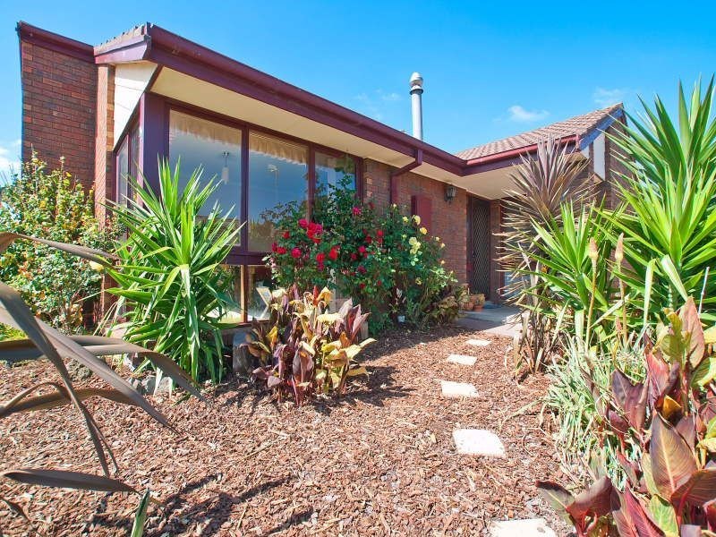 37 Burgess Drive, Langwarrin VIC 3910