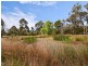 124 Centre Road, Langwarrin VIC 3910