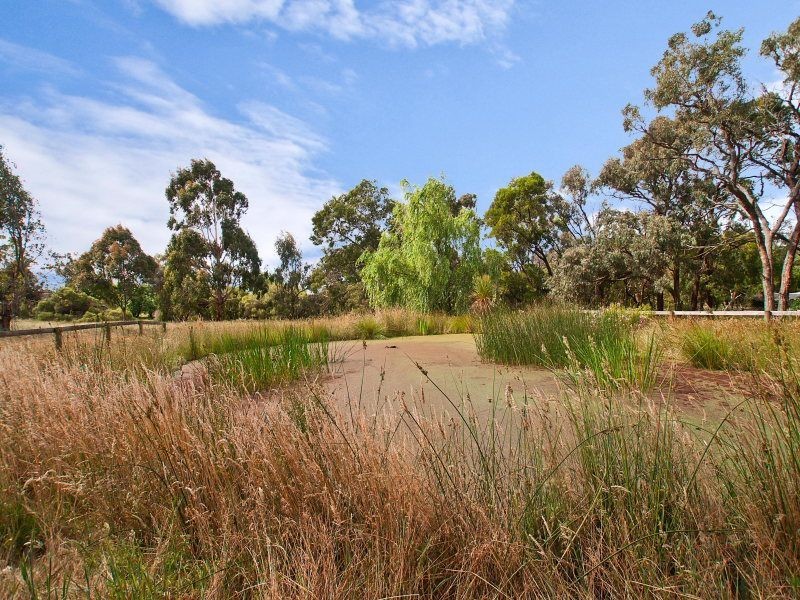 124 Centre Road, Langwarrin VIC 3910