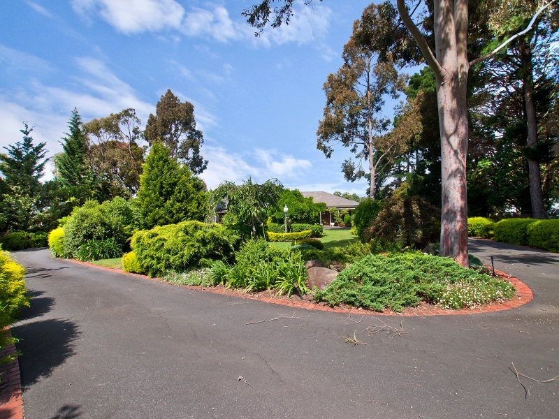 124 Centre Road, Langwarrin VIC 3910