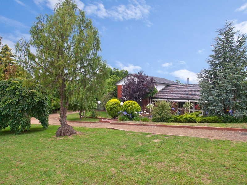 88 Potts Road, Langwarrin VIC 3910