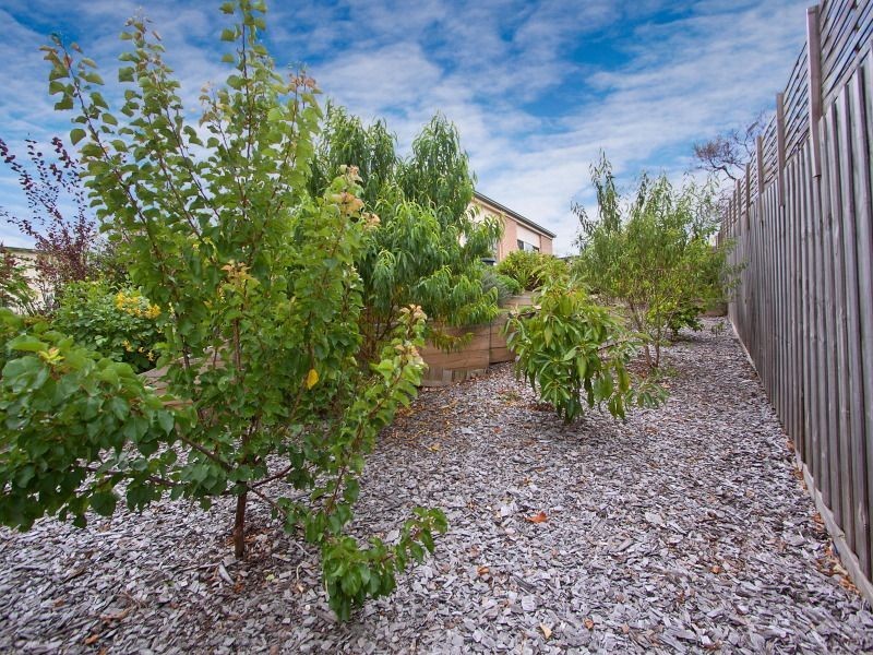 3 Serra Court, Langwarrin VIC 3910