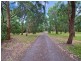 45 Grassmere Road, Langwarrin VIC 3910