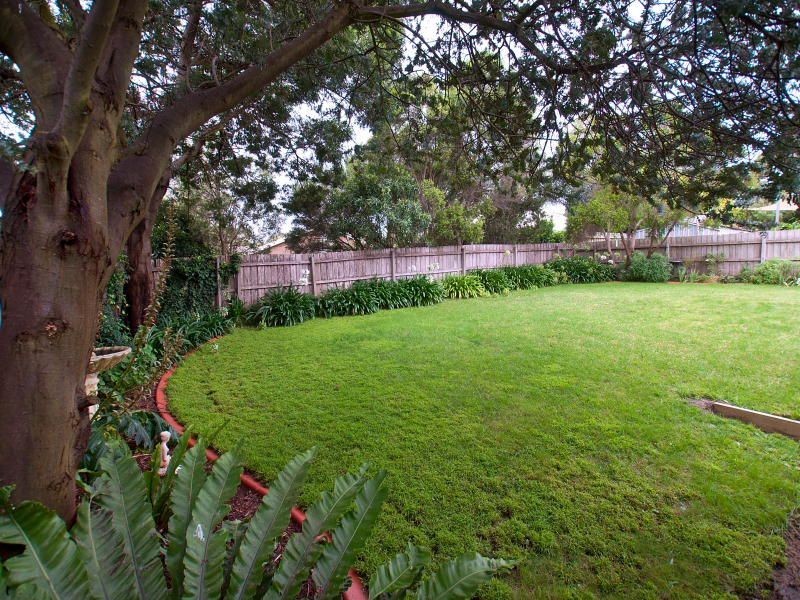 16 Olearia Crescent, Langwarrin VIC 3910