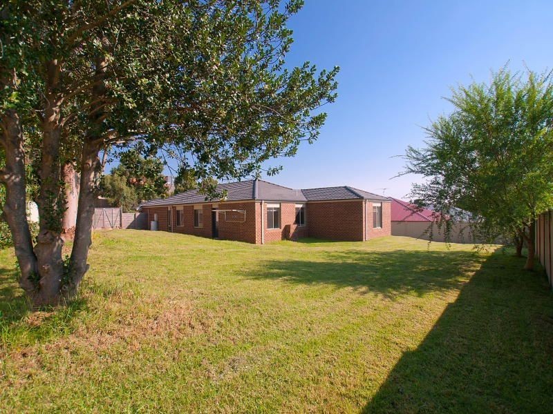 11 Sugar Glider Place, Langwarrin VIC 3910