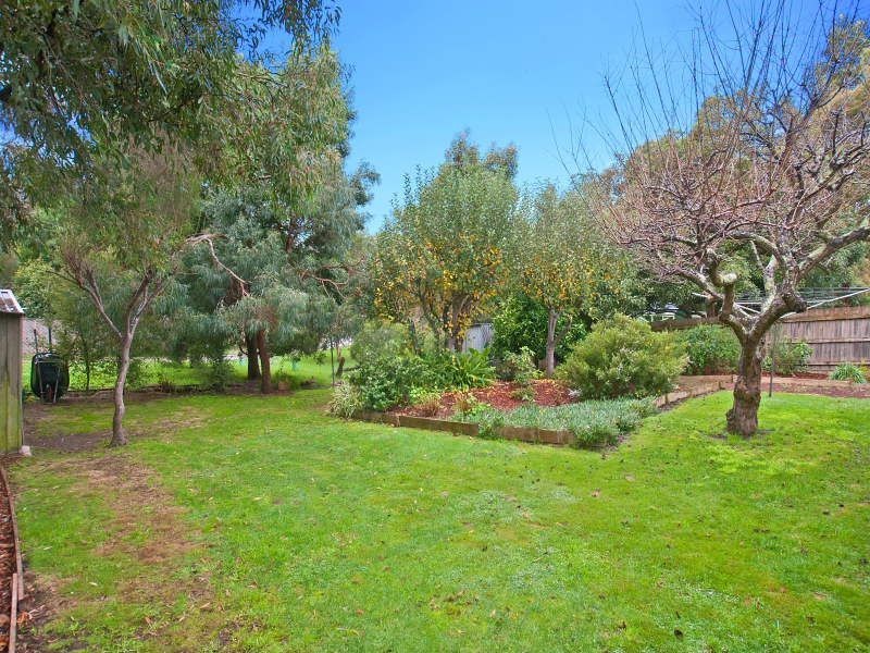 3 Sycamore Street, Langwarrin VIC 3910