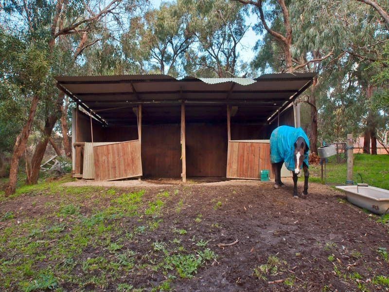 39A Anthony Street, Langwarrin VIC 3910