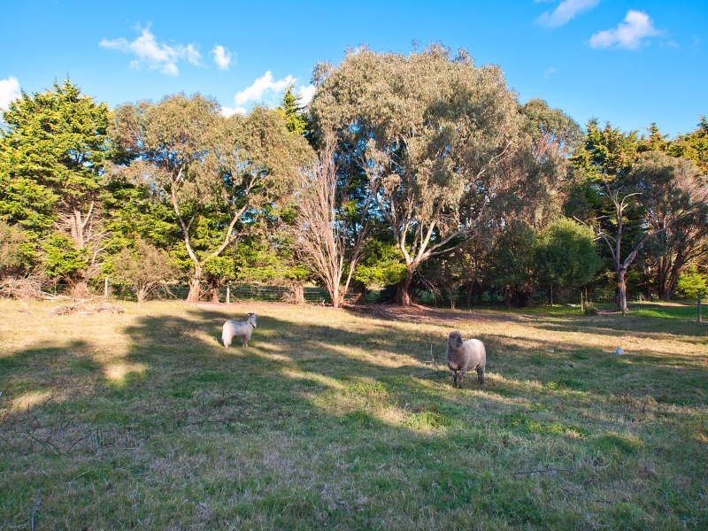 39A Anthony Street, Langwarrin VIC 3910