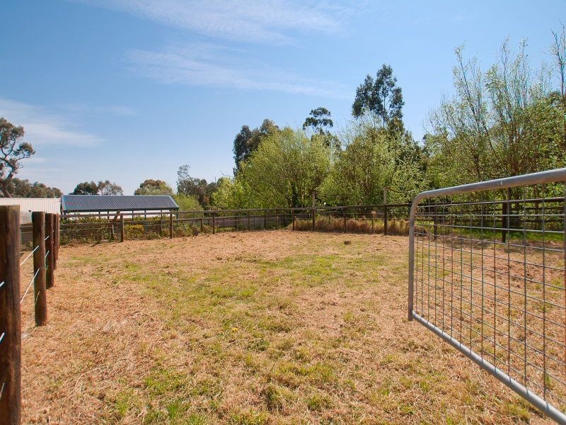 14 Grassmere Road, Langwarrin VIC 3910