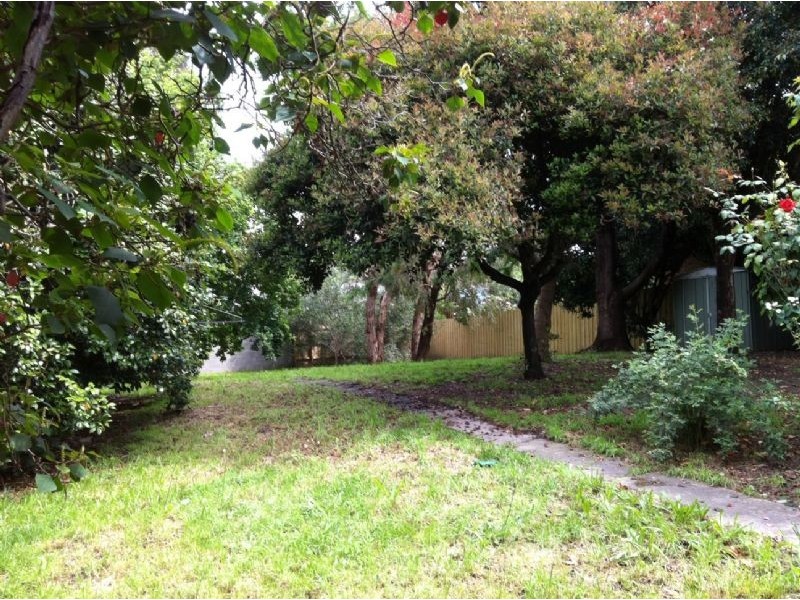 96 Beech Street, Langwarrin VIC 3910