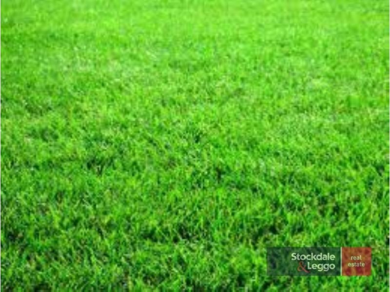 17 Eden Avenue, Skye VIC 3977