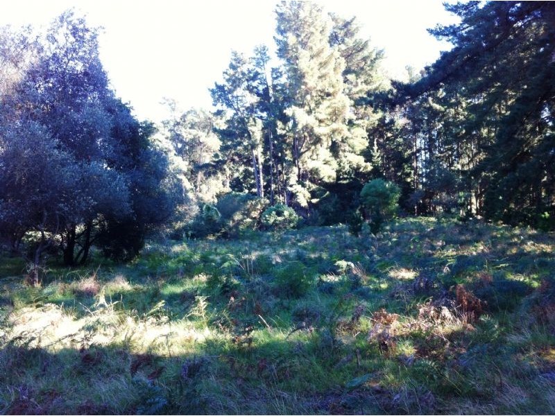 Lot 2/95 West Road, Langwarrin South VIC 3911