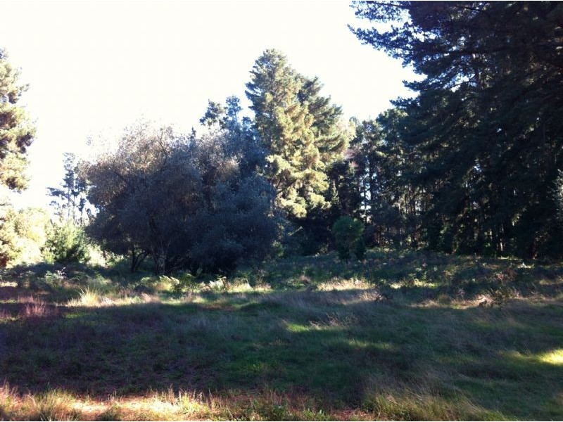 Lot 2/95 West Road, Langwarrin South VIC 3911