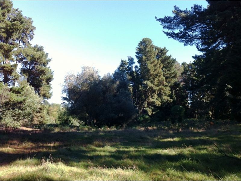 Lot 2/95 West Road, Langwarrin South VIC 3911