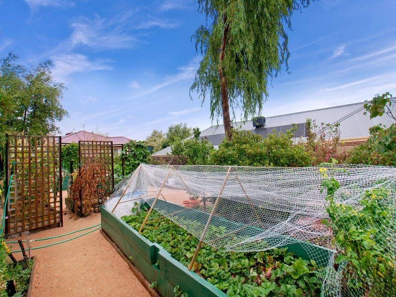 51 Huntingtower Crescent, Langwarrin VIC 3910